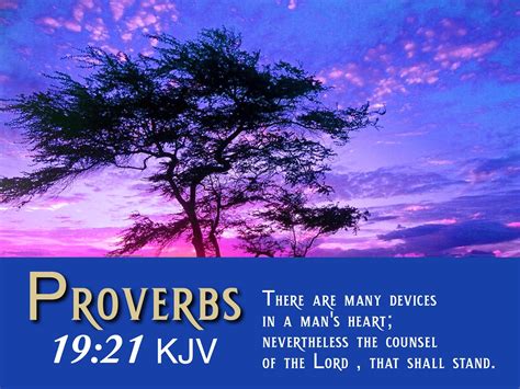 The desire of a man is his kindness And a poor man is better than a liar. . Kjv proverbs 19